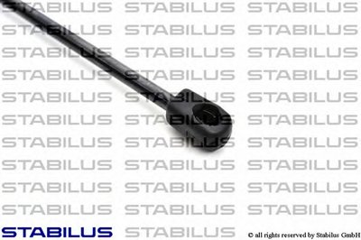 030769 STABILUS