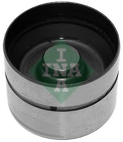 420004310 INA