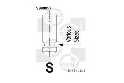 V998857 BGA