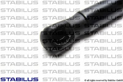 011499 STABILUS