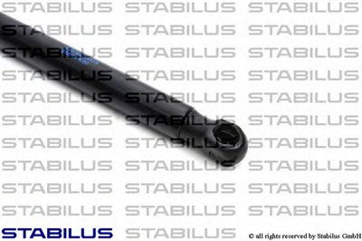 030769 STABILUS