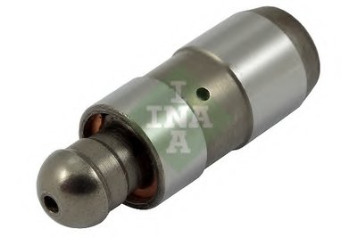 420024310 INA