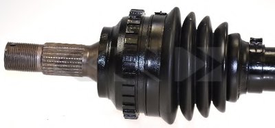 24518 SPIDAN