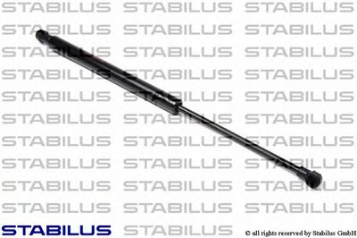 011508 STABILUS
