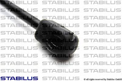 015621 STABILUS