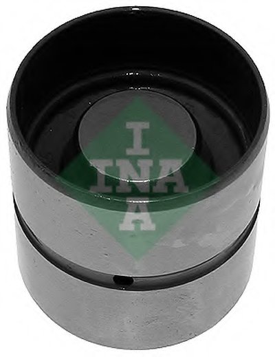 420004610 INA