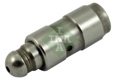 420025210 INA