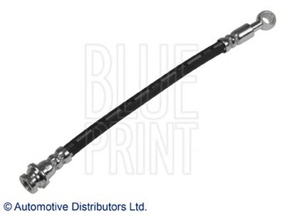 ADN153906 BLUE PRINT