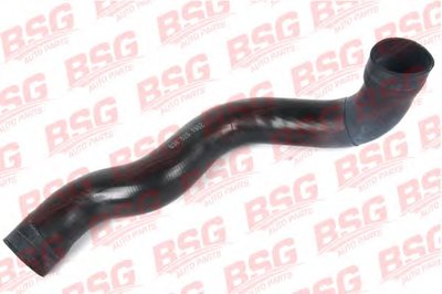 BSG60720011 BSG