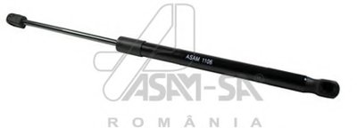 30466 ASAM