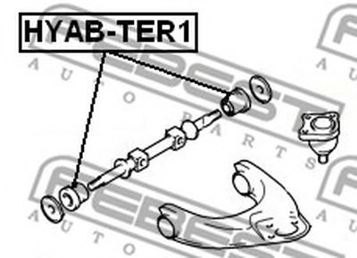 HYABTER1 FEBEST
