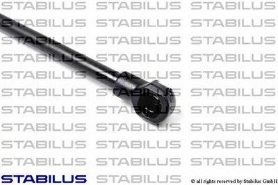 011508 STABILUS