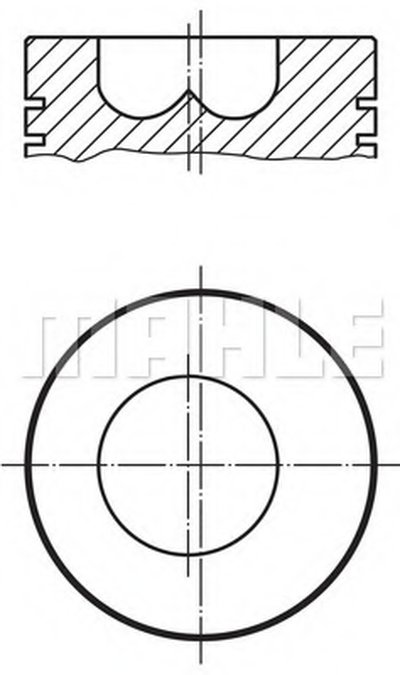 0098901 MAHLE