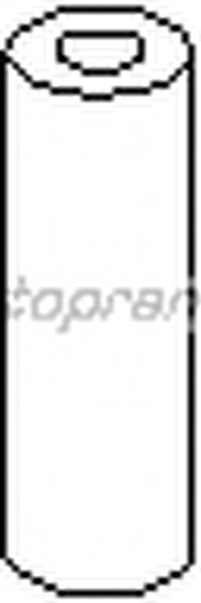 100321 TOPRAN