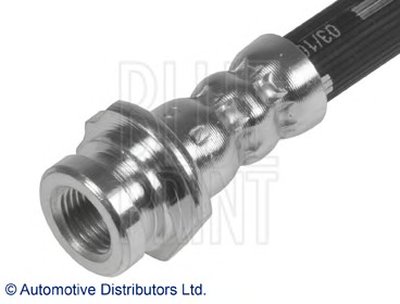 ADN153906 BLUE PRINT