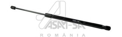30467 ASAM