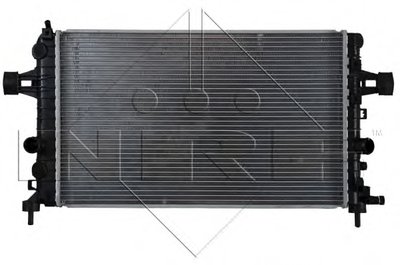 53442 NRF