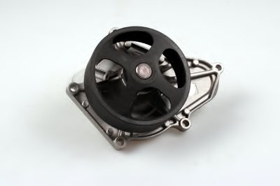 P7848 HEPU