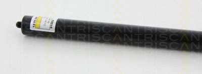 871080209 Triscan