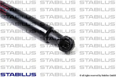 011508 STABILUS