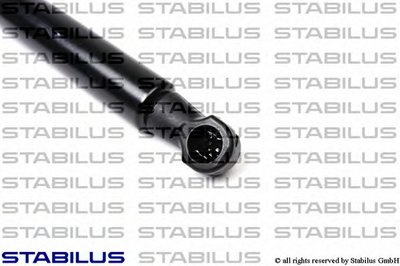 030787 STABILUS