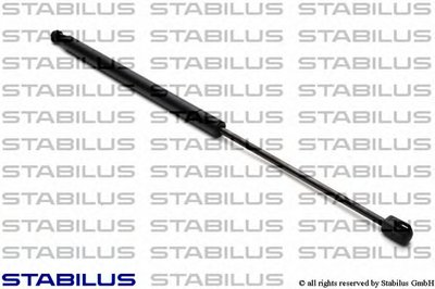 6062SX STABILUS