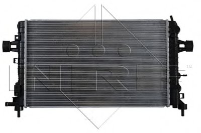 53442 NRF
