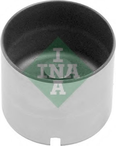 421000510 INA