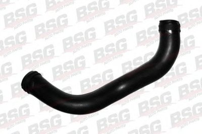 BSG30720079 BSG