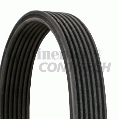 7DPK1884 CONTITECH