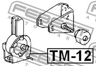 TM12 FEBEST