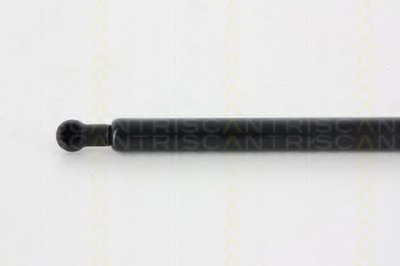 871014246 Triscan