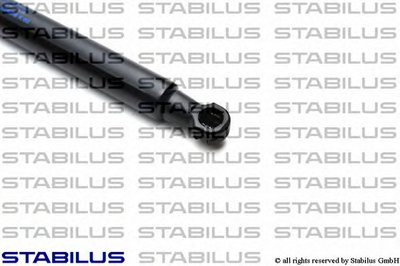 6062SX STABILUS