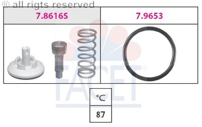 78616 FACET