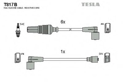 T817B TESLA
