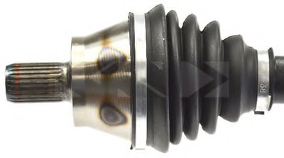 25597 SPIDAN