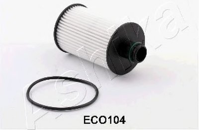 10ECO104 ASHIKA
