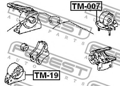 TM007 FEBEST