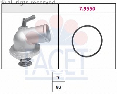 78174 FACET