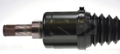 25321 SPIDAN