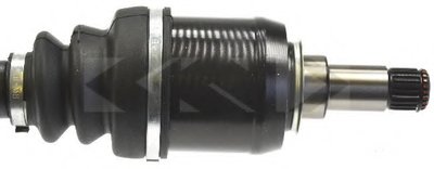 25597 SPIDAN
