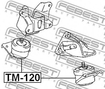 TM120 FEBEST