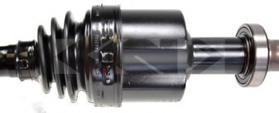 24572 SPIDAN