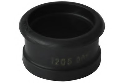30718 ASAM