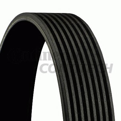 8PK2465 CONTITECH