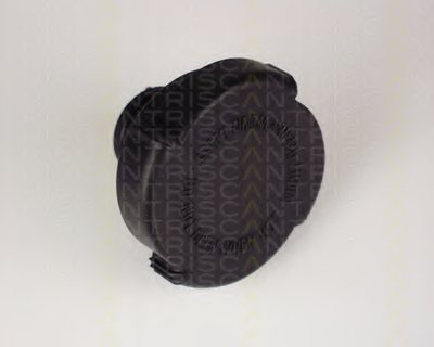 861021 Triscan