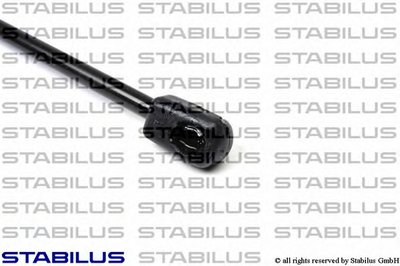 011591 STABILUS