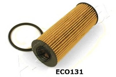 10ECO131 ASHIKA