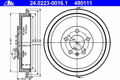 24022300161 ATE