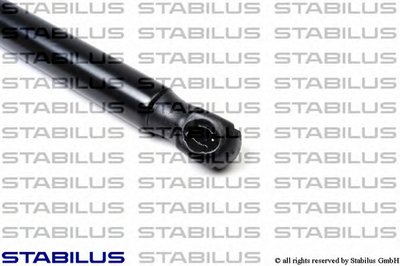 011591 STABILUS